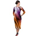 Rainbow Light Quarter Sleeve Midi Velour Bodycon Dress View2