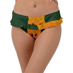 Giraffe Animals Zoo Frill Bikini Bottom