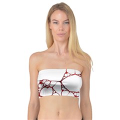 Fractals Cells Autopsy Pattern Bandeau Top by Mariart