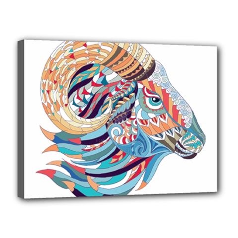 Goat Sheep Ethnic Canvas 16  X 12  (stretched) by Mariart