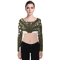 Leaf Tree Velvet Long Sleeve Crop Top