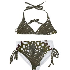 Leaf Tree Kids  Classic Bikini Set