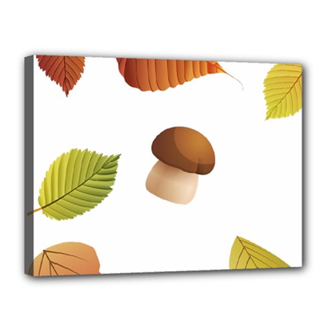 Leaves Mushrooms Canvas 16  X 12  (stretched) by Mariart