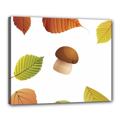 Leaves Mushrooms Canvas 20  X 16  (stretched) by Mariart