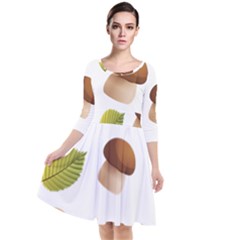 Leaves Mushrooms Quarter Sleeve Waist Band Dress