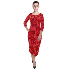 Red Pattern Technology Background Quarter Sleeve Midi Velour Bodycon Dress