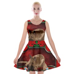 Wonderful German Shepherd With Heart And Flowers Velvet Skater Dress by FantasyWorld7