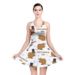 Groundhog Day Pattern Reversible Skater Dress by Valentinaart