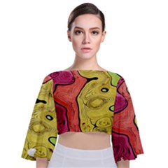 Pattern Background Abstract Tie Back Butterfly Sleeve Chiffon Top by Pakrebo