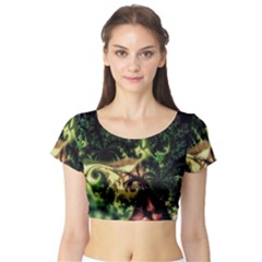 Fractal Cauliflower Green Rendered Short Sleeve Crop Top by Pakrebo