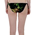 Fractal Cauliflower Green Rendered Bikini Bottom View2