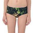 Fractal Cauliflower Green Rendered Mid-Waist Bikini Bottoms View1