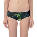 Fractal Cauliflower Green Rendered Classic Bikini Bottoms View1