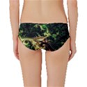 Fractal Cauliflower Green Rendered Classic Bikini Bottoms View2