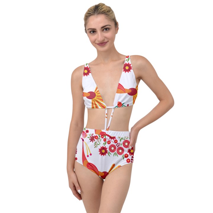 Peacock Pattern Tied Up Two Piece Swimsuit