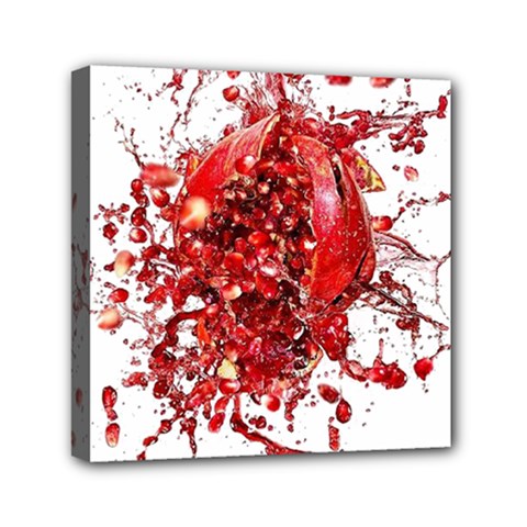 Red Pomegranate Fried Fruit Juice Mini Canvas 6  X 6  (stretched) by Mariart