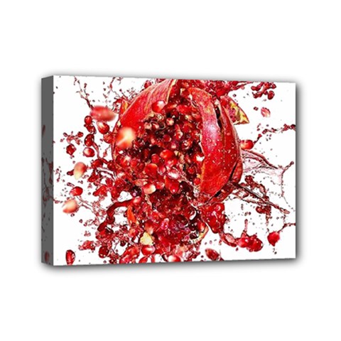 Red Pomegranate Fried Fruit Juice Mini Canvas 7  X 5  (stretched) by Mariart