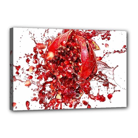 Red Pomegranate Fried Fruit Juice Canvas 18  X 12  (stretched) by Mariart