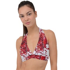 Red Pomegranate Fried Fruit Juice Halter Plunge Bikini Top