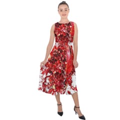 Red Pomegranate Fried Fruit Juice Midi Tie-back Chiffon Dress