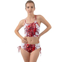 Red Pomegranate Fried Fruit Juice Mini Tank Bikini Set by Mariart