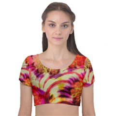 Fractal Mandelbrot Art Wallpaper Velvet Short Sleeve Crop Top 