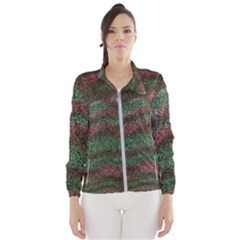 Pattern Structure Background Lines Windbreaker (women)