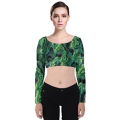 Green Pattern Background Abstract Velvet Long Sleeve Crop Top