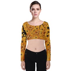 Fractal Pattern Spiral Velvet Long Sleeve Crop Top by Pakrebo