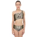 Funny Giraffe With Herats And Butterflies Spliced Up Two Piece Swimsuit View1