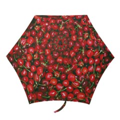 Cherries Jubilee Mini Folding Umbrellas by WensdaiAmbrose