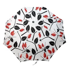 Rose Hip Pattern Branches Autumn Folding Umbrellas by Pakrebo