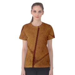 Leaf Fall Foliage Nature Orange Women s Cotton Tee