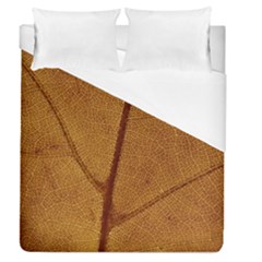 Leaf Fall Foliage Nature Orange Duvet Cover (queen Size) by Pakrebo