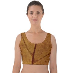 Leaf Fall Foliage Nature Orange Velvet Crop Top