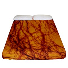 Lightning Internal Blood Vessel Fitted Sheet (california King Size) by Pakrebo