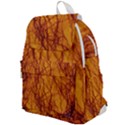 Lightning Internal Blood Vessel Top Flap Backpack View1