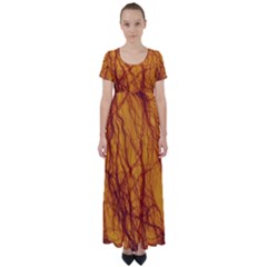 Lightning Internal Blood Vessel High Waist Short Sleeve Maxi Dress by Pakrebo