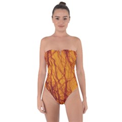 Lightning Internal Blood Vessel Tie Back One Piece Swimsuit by Pakrebo