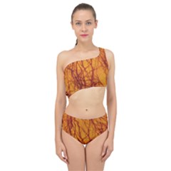 Lightning Internal Blood Vessel Spliced Up Two Piece Swimsuit by Pakrebo