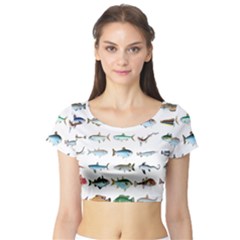 Ml 6-6 Fish Short Sleeve Crop Top by ArtworkByPatrick