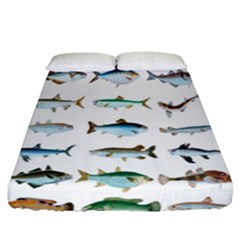 Ml 6-6 Fish Fitted Sheet (queen Size) by ArtworkByPatrick