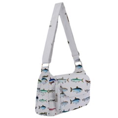 Ml 6-6 Fish Post Office Delivery Bag