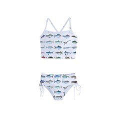 Ml 6-6 Fish Girls  Tankini Swimsuit by ArtworkByPatrick