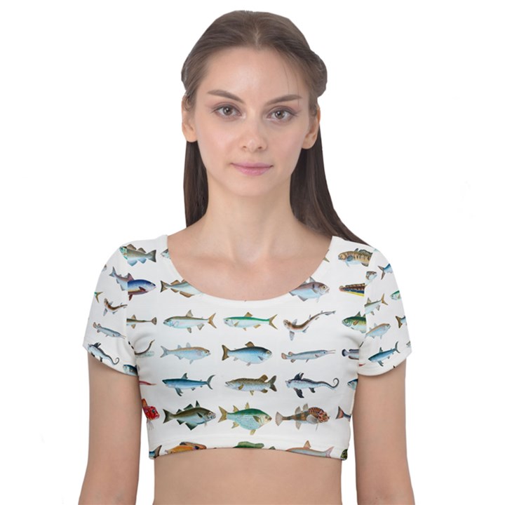 ML 6-6 Fish Velvet Short Sleeve Crop Top 