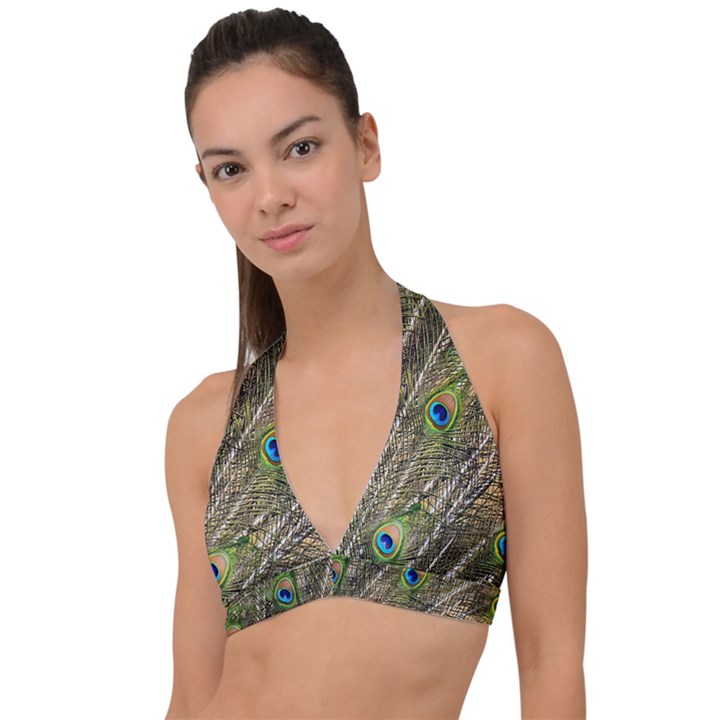 Green Peacock Feathers Color Plumage Halter Plunge Bikini Top