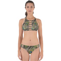 Green Peacock Feathers Color Plumage Perfectly Cut Out Bikini Set by Pakrebo