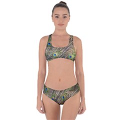 Green Peacock Feathers Color Plumage Criss Cross Bikini Set by Pakrebo