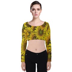 Surreal Sunflowers Velvet Long Sleeve Crop Top by retrotoomoderndesigns