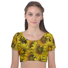 Surreal Sunflowers Velvet Short Sleeve Crop Top  by retrotoomoderndesigns